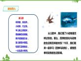 【精品资料】大象版 科学  二年级下册（全册）3.2《四季与动物》（课件+教案+练习）
