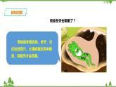 【精品资料】大象版 科学  二年级下册（全册）3.2《四季与动物》（课件+教案+练习）