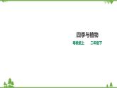 【精品资料】大象版 科学  二年级下册（全册）3.3《四季与植物》（课件+教案+练习）