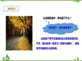 【精品资料】大象版 科学  二年级下册（全册）3.3《四季与植物》（课件+教案+练习）
