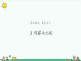 2.3 观察与比较 课件（11张PPT）+教案