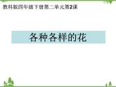 教科版小学四年级下册2.2各种各样的花 PPT课件+教案+音视频