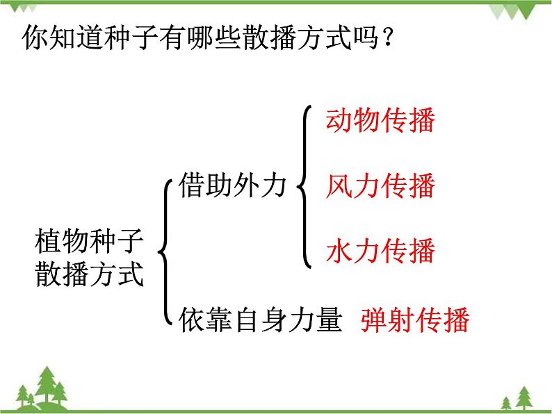 教科版小学四年级下册2.4把种子散播到远处 PPT课件+教案+音视频03