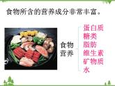 教科版小学四年级下册3.2食物中的营养 PPT课件+教案+音视频