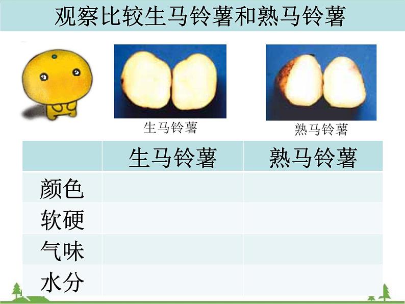 教科版小学四年级下册3.4生的食物和熟的食物 PPT课件+教案+音视频07