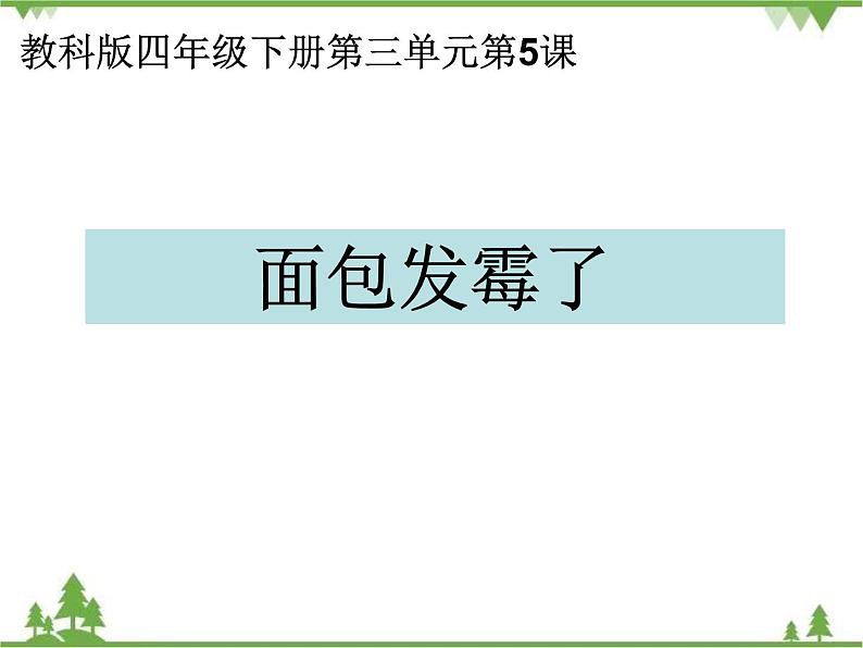 教科版小学四年级下册3.5面包发霉了 PPT课件+教案01