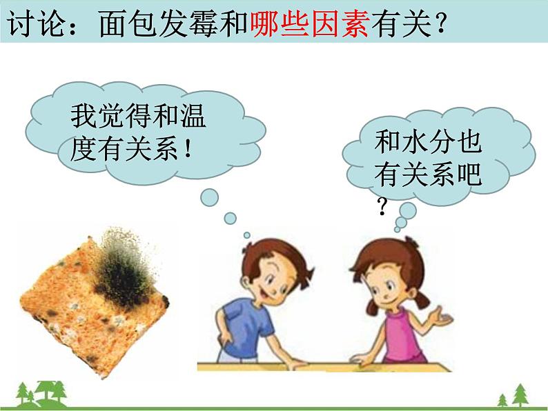 教科版小学四年级下册3.5面包发霉了 PPT课件+教案06