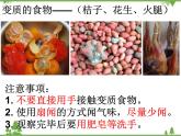 教科版小学四年级下册3.6减慢食物变质的速度 PPT课件+教案