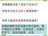 教科版小学四年级下册3.6减慢食物变质的速度 PPT课件+教案