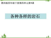 教科版四年级下册1.各种各样的岩石精品ppt课件