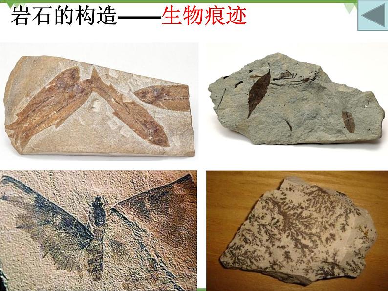 教科版小学四年级下册4.2认识几种常见的岩石 PPT课件+教案08