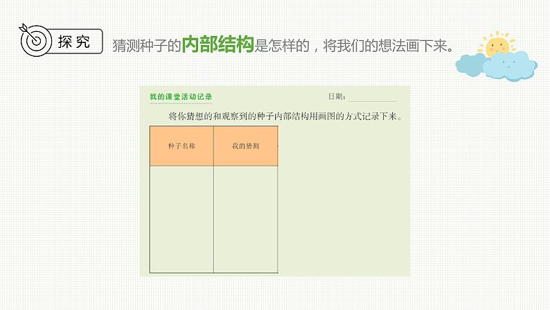 新教科版科学四年级下册：1.1《种子里孕育着新生命》PPT课件06