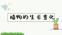 科学四年级下册3.种子长出了根优秀ppt课件