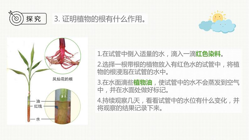 新教科版科学四年级下册：1.3《种子长出了根》PPT课件07