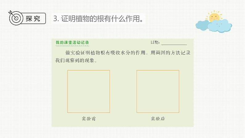 新教科版科学四年级下册：1.3《种子长出了根》PPT课件08