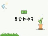 新教科版科学四年级下册：1.6《果实和种子》PPT课件