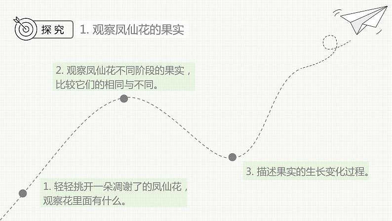 新教科版科学四年级下册：1.6《果实和种子》PPT课件05