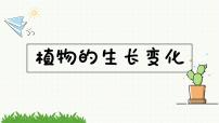 小学教科版 (2017)7.种子的传播精品课件ppt