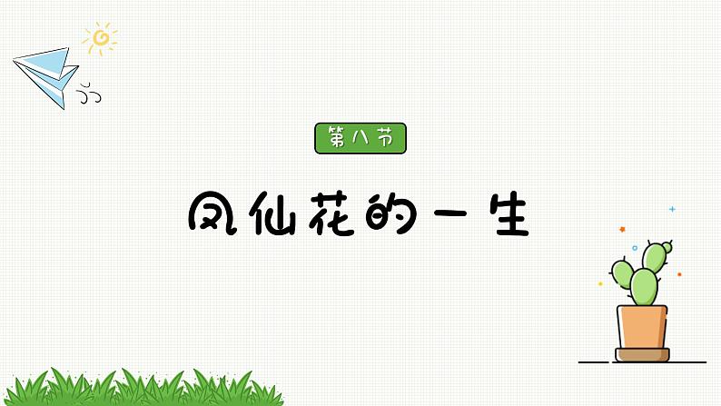 新教科版科学四年级下册：1.8《凤仙花的一生》PPT课件02