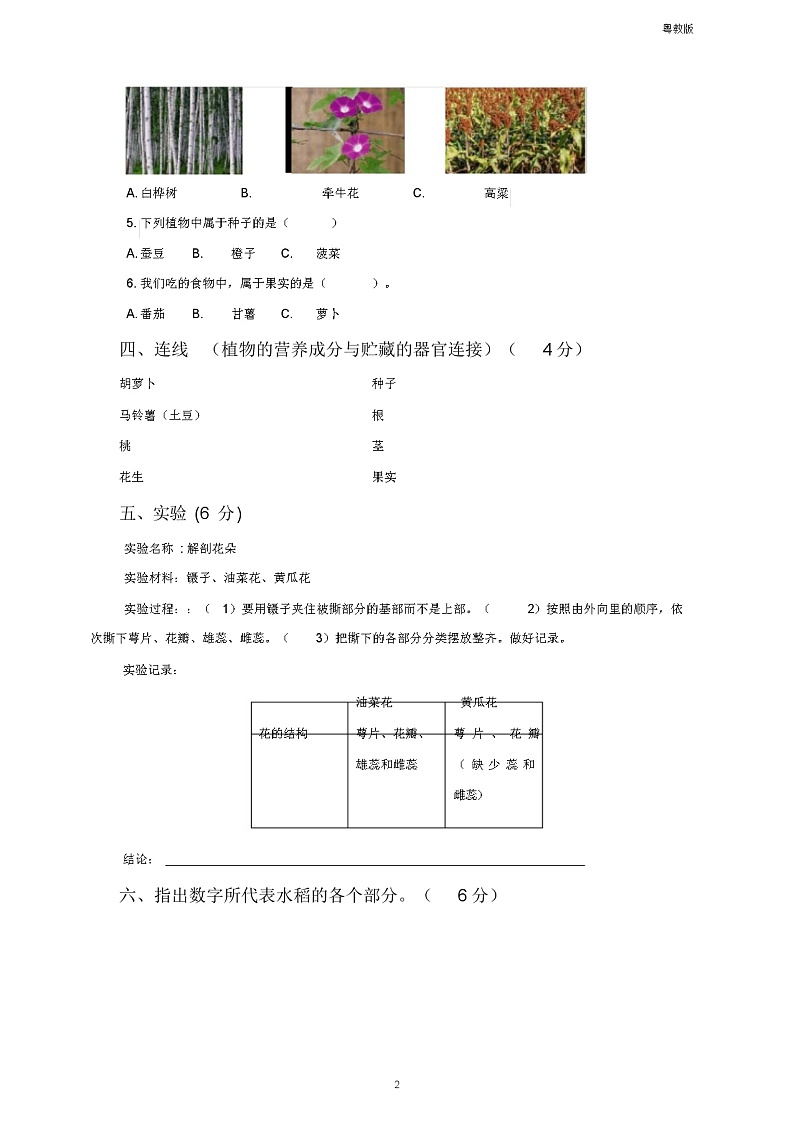 粤教版小学《科学》新版三年级下册科学第3单元测试题02