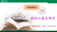 小学科学粤教粤科版 (2017)三年级下册第3单元 植物的“身体”17 专题研究：脂肪贮藏在哪里优秀课件ppt