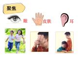 二下2-2《通過感官來發(fā)現》教學課件