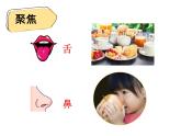 二下2-2《通過感官來發(fā)現》教學課件
