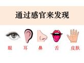 二下2-2《通過感官來發(fā)現》教學課件