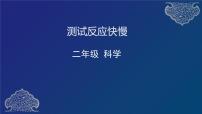 教科版 (2017)二年级下册我们自己4.测试反应快慢图片课件ppt