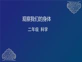 二年级下册科学课件  观察我们的身体  教科版  19张