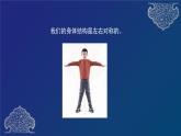 二年级下册科学课件  观察我们的身体  教科版  19张
