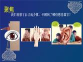 二年级下册科学课件  2.2 通过感官来发现 教科版2017