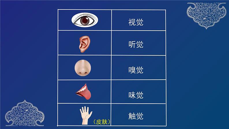 二年级下册科学课件  2.2 通过感官来发现 教科版201704