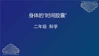 小学科学教科版 (2017)二年级下册6.身体的“时间胶囊”多媒体教学课件ppt