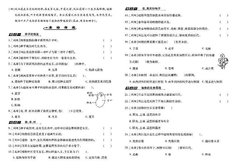 四年级科学下册试卷（单元+月考+期中+期末）含答案PDF（教科版）02