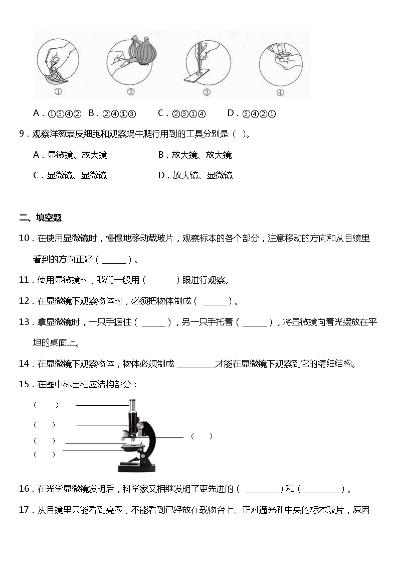 1.5《用显微镜观察身边的生命世界（一）》同步练习题（含答案）教科版六年级下册02