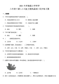 小学科学教科版六年级下册1、放大镜课后练习题