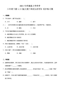 教科版六年级下册2、放大镜下的昆虫世界同步达标检测题