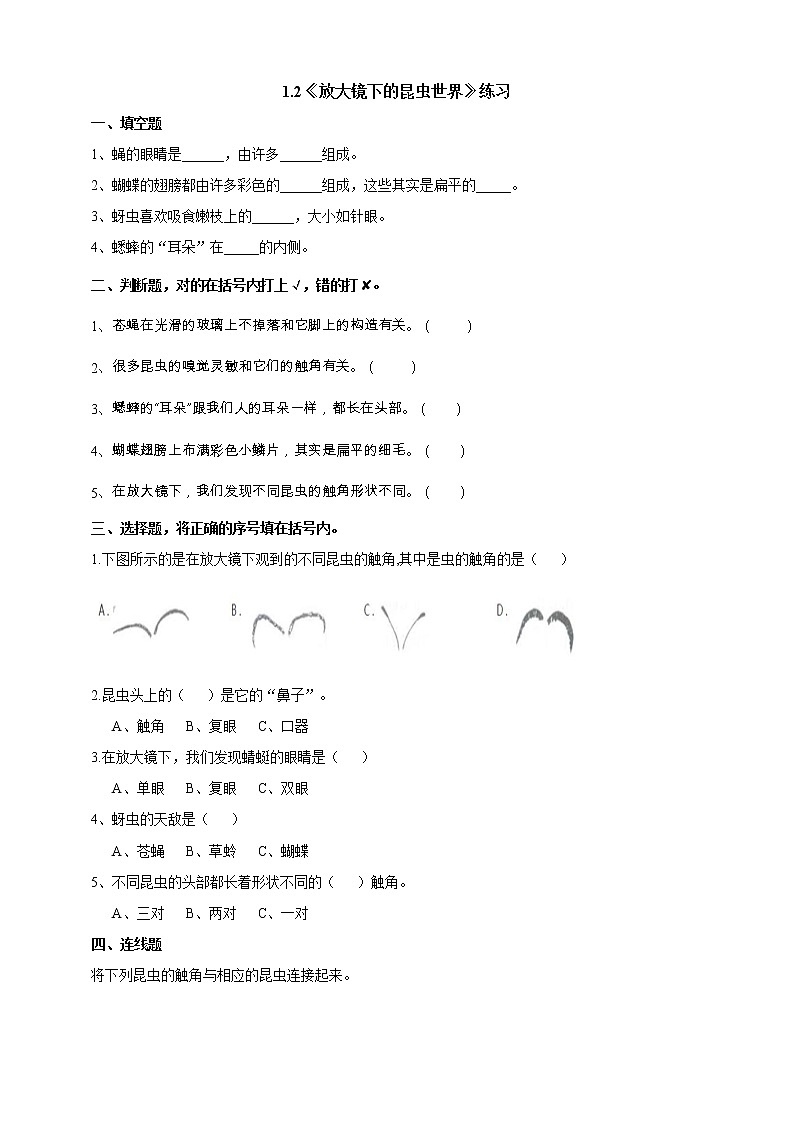 教科版科学六年级下册1.2《放大镜下的昆虫世界》练习试卷（含答案）01
