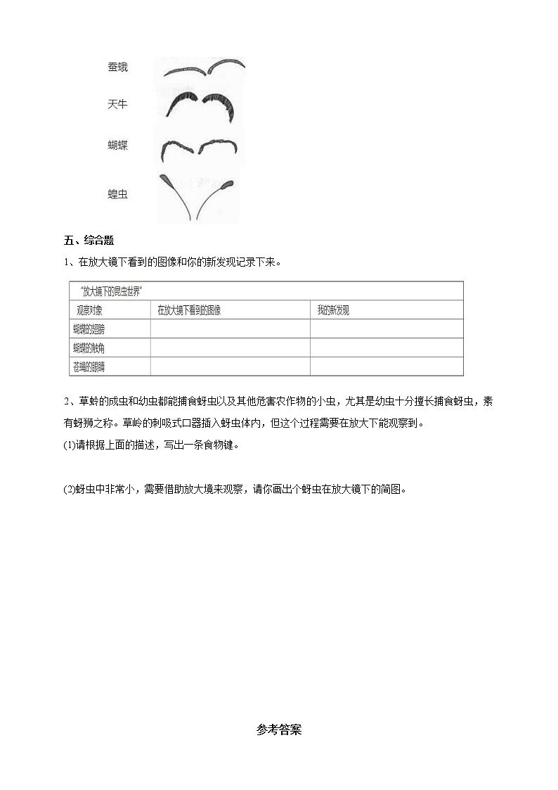 教科版科学六年级下册1.2《放大镜下的昆虫世界》练习试卷（含答案）02