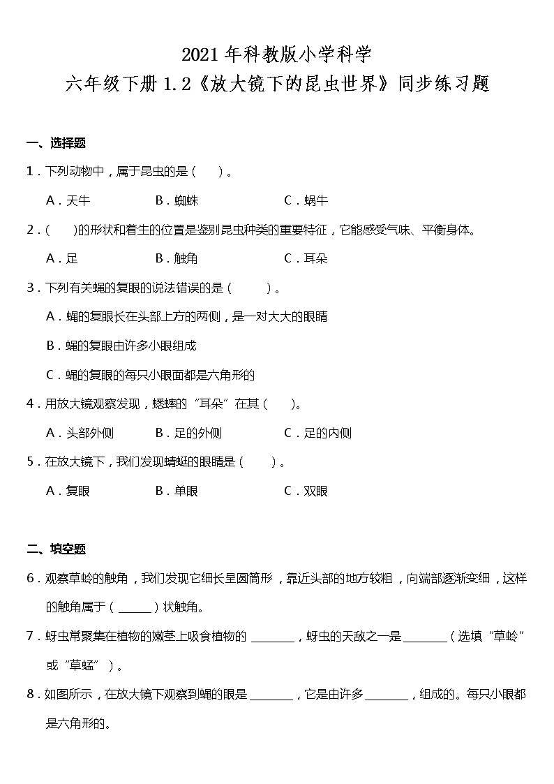 教科版科学六年级下册1.2《放大镜下的昆虫世界》同步练习题 试卷（含答案）01