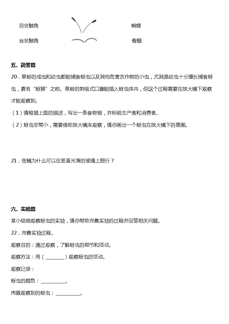 教科版科学六年级下册1.2《放大镜下的昆虫世界》同步练习题 试卷（含答案）03