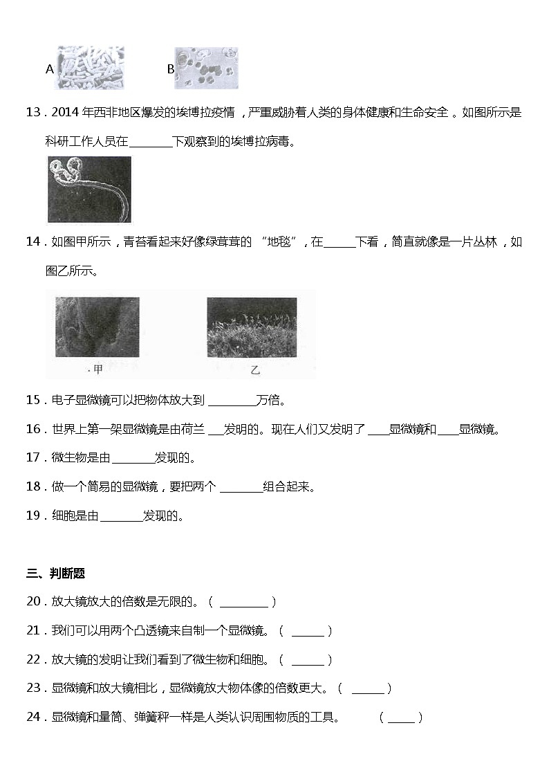 教科版科学六年级下册1.4《怎样放得更大》同步练习题 试卷（含答案）03