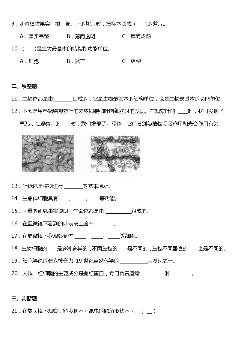 教科版科学六年级下册1.6《用显微镜观察身边的生命世界（二）》同步练习题 试卷（含答案）02