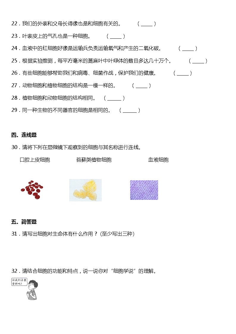 教科版科学六年级下册1.6《用显微镜观察身边的生命世界（二）》同步练习题 试卷（含答案）03