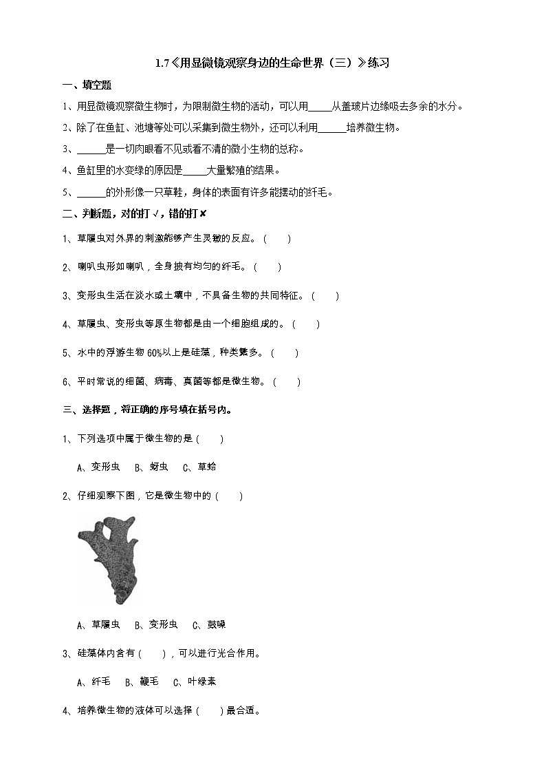 教科版科学六年级下册1.7《用显微镜观察身边的生命世界（三）》练习 试卷（含答案）01