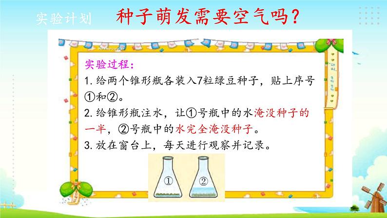 新大象版四年级下册科学1.1我们的豆苗 课件+教案+练习05