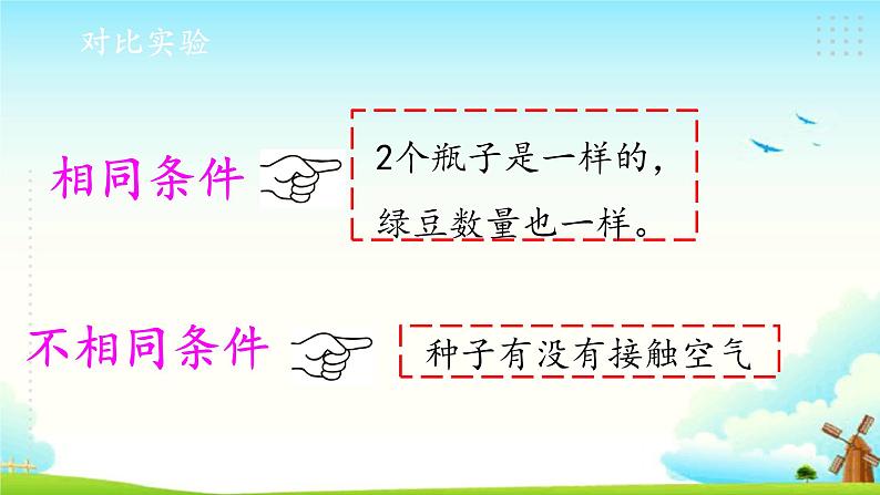 新大象版四年级下册科学1.1我们的豆苗 课件+教案+练习06