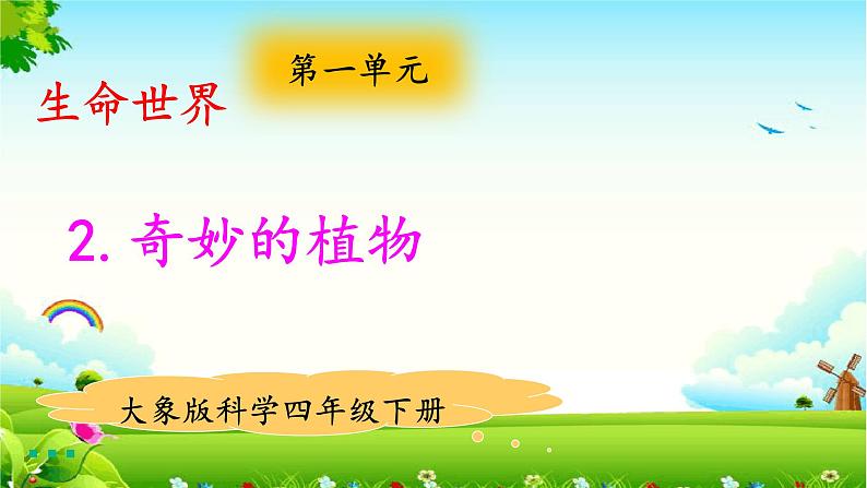 新大象版四年级下册科学1.2奇妙的植物 课件+教案+课件练习01