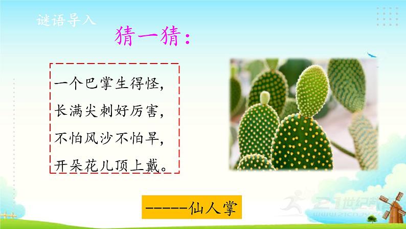 新大象版四年级下册科学1.2奇妙的植物 课件+教案+课件练习02